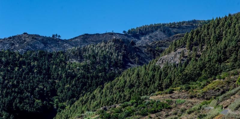 Consecuencias del incendio: De Valleseco a Artenar