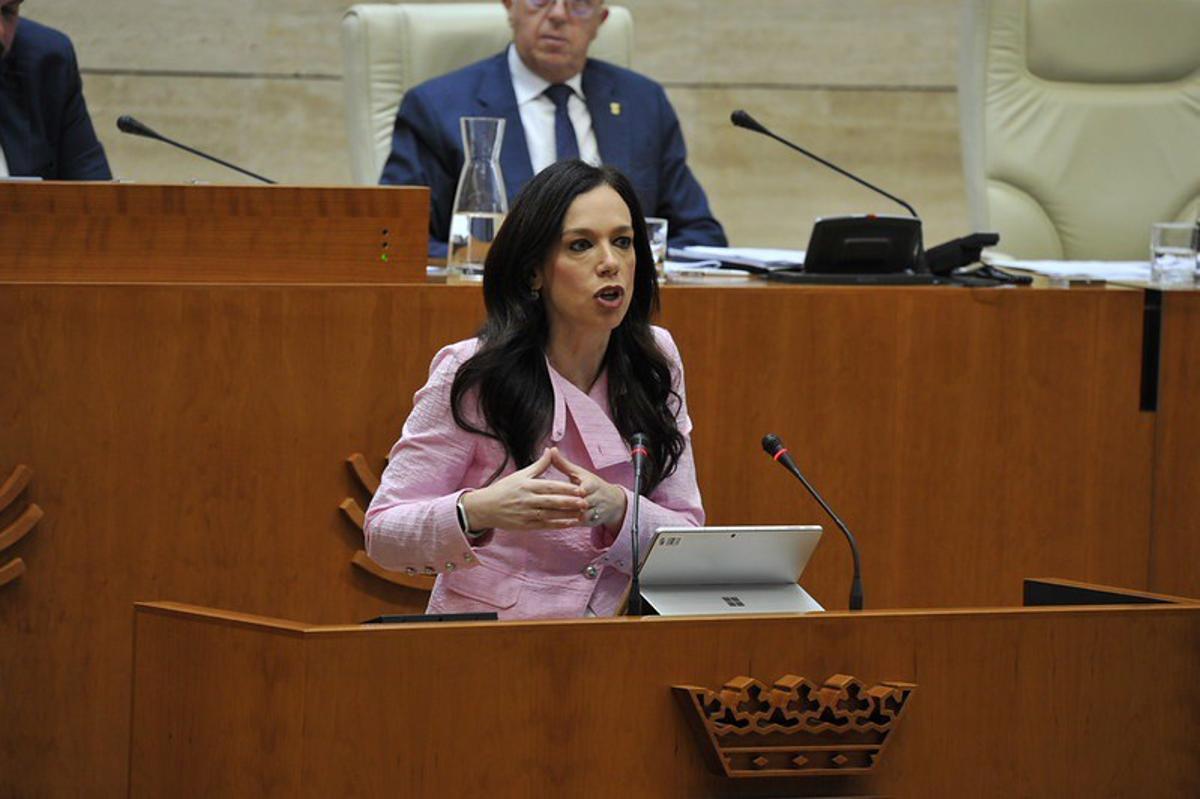 La consejera de Salud y Atención a la Dependencia, Sara García Espada, en su comparecencia en la Asamblea de Extremadura