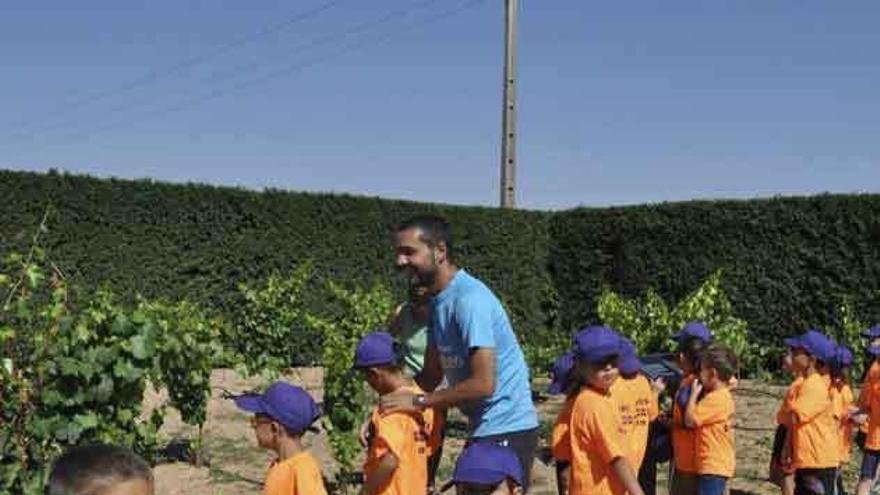 Los niños visitan el jardín plantado con viñedo del Museo del Vino. Foto