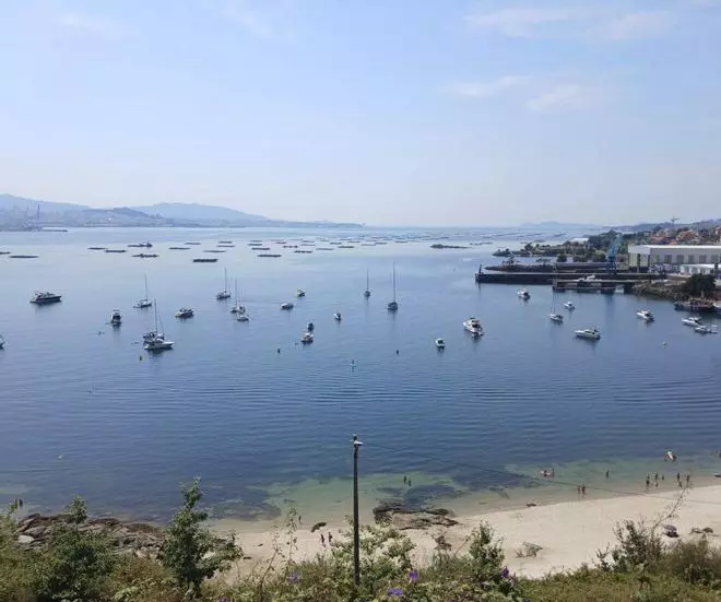 Agosto se cierra con problemas de barcos en A Borna y de picaduras en A Xunqueira