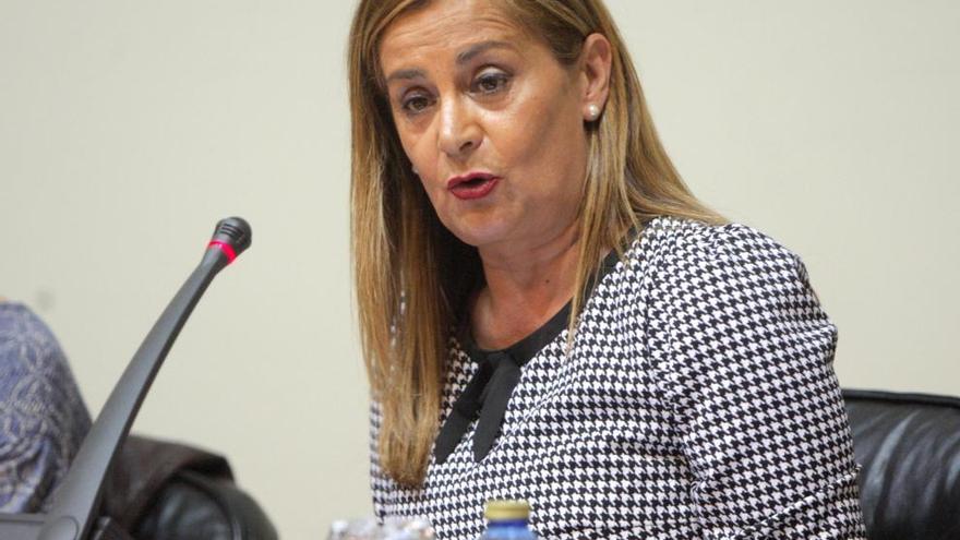 Carmela Silva, durante una intervención como presidenta provincial. // Xoán Álvarez