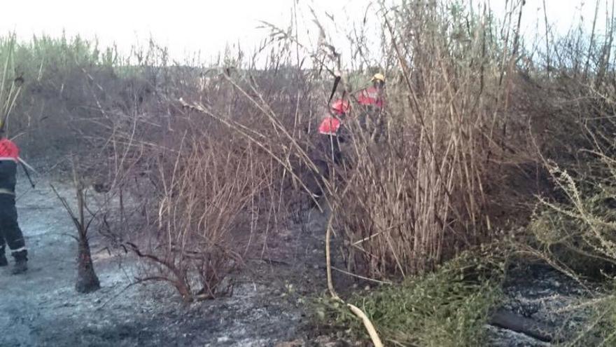 Imagen del incendio en el campico de Guardamar extinguido ayer por la tarde/foto Consorcio de Bomberos