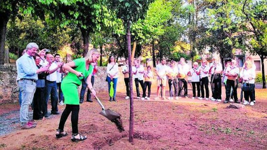 Moià celebra la 117a Festa de l’Arbre Fruiter i d’Homenatge a la Vellesa