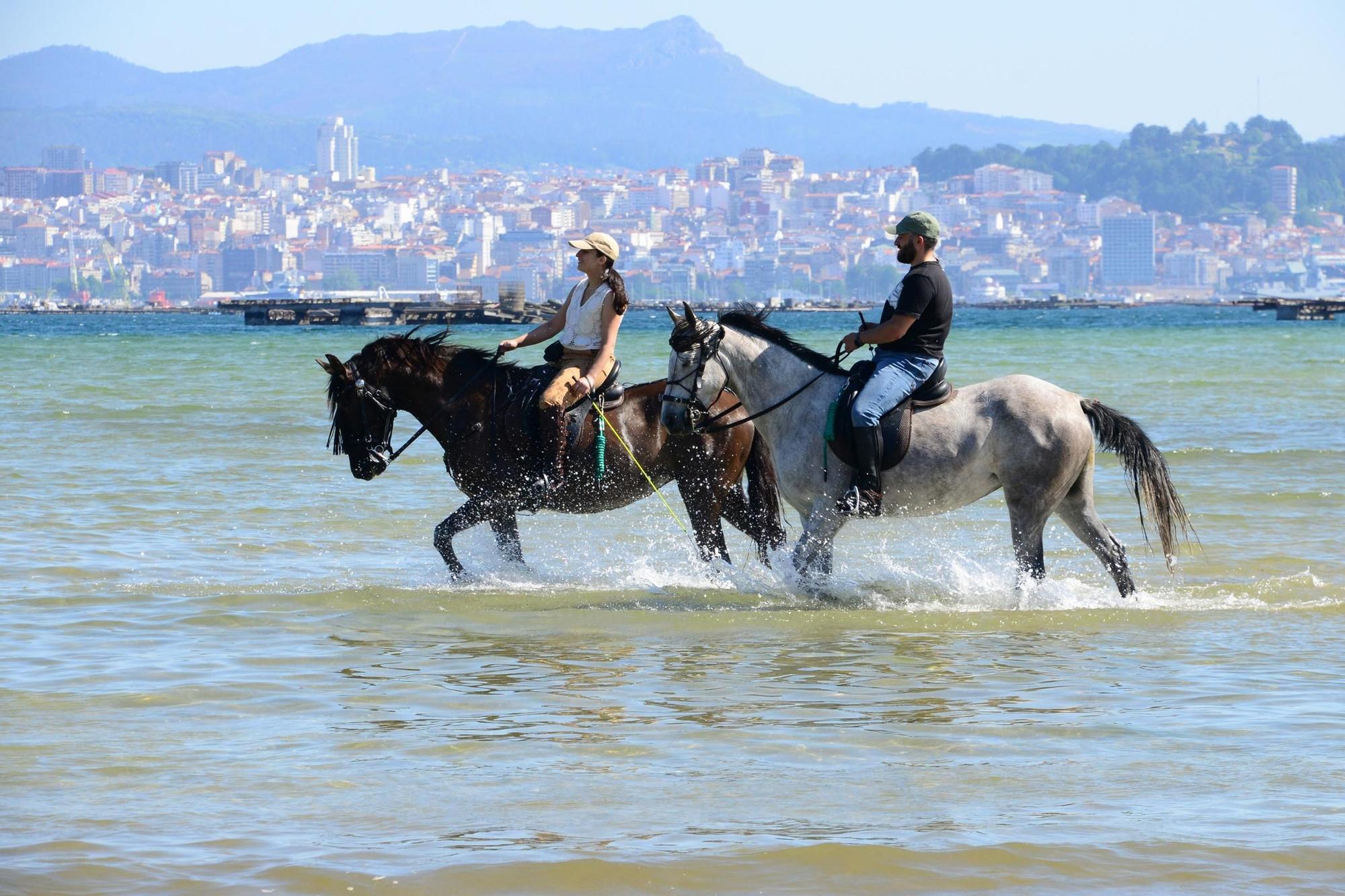 Una espectacular jornada a caballo por Moaña (I)