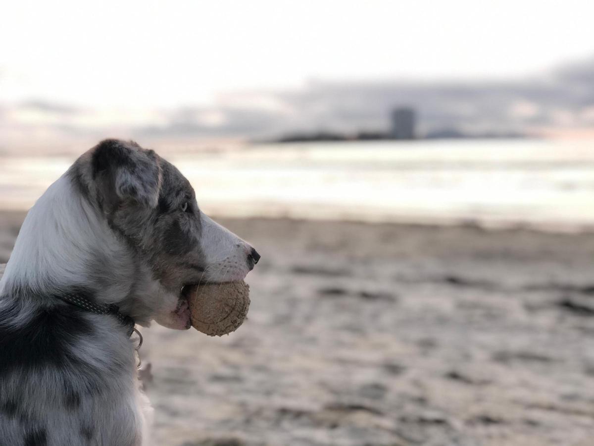 Trece con una pelota en la playa de O Vao.