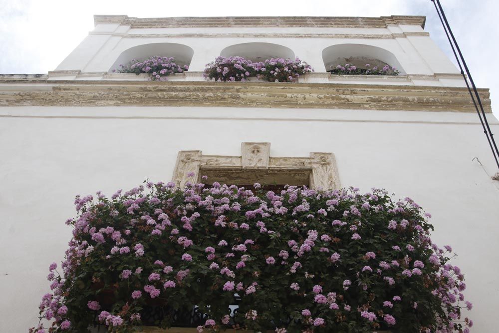 Calle Fernán Pérez de Oliva 2