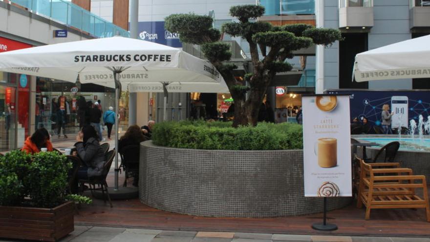 Torrevieja &quot;legaliza&quot; la nueva tienda de Starbucks que abrió &quot;sin ningún papel&quot;