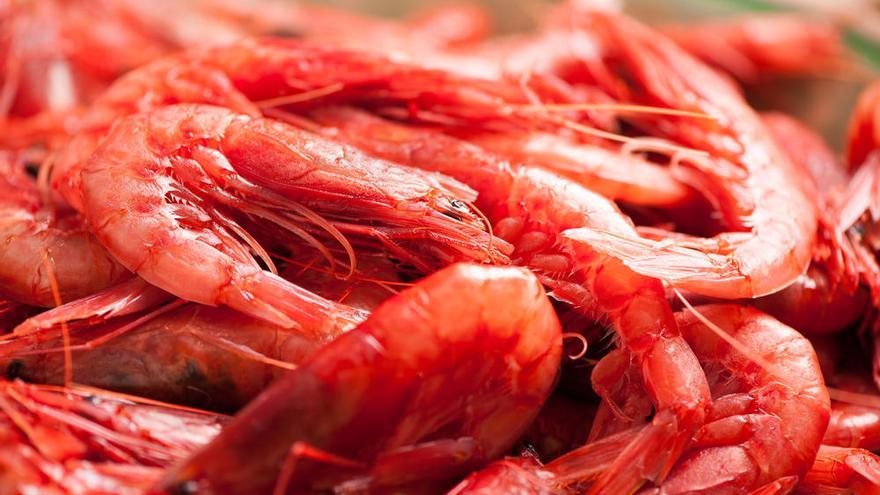 Más del 90% de las fibras están en el estómago de las gambas.