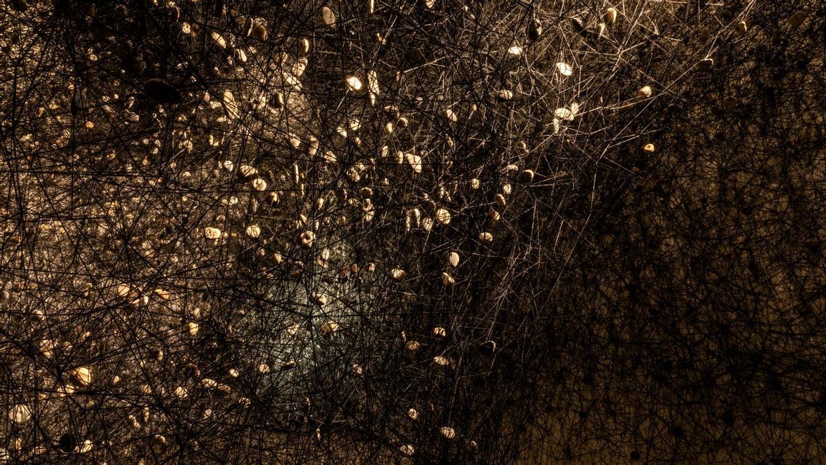 Detalle de la instalación de Chiharu Shiota 'In the beginning was...', en Planta.
