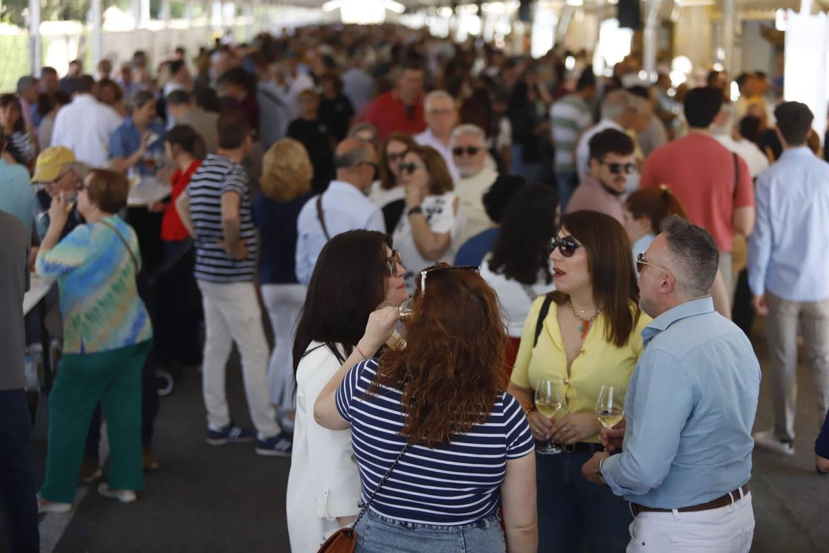 Catas de vino domingo