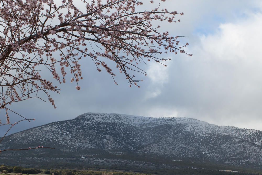 Primeras nieves en la Región