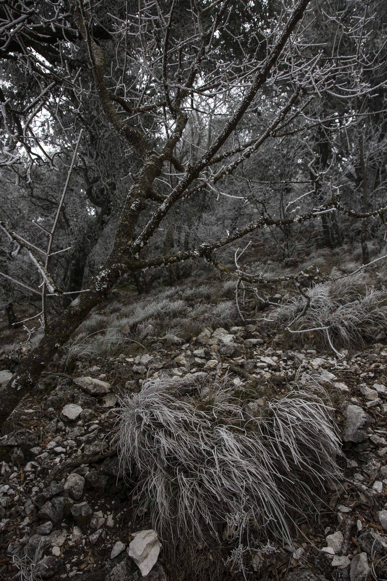 Altas temperatura y nieve en la Font Roja