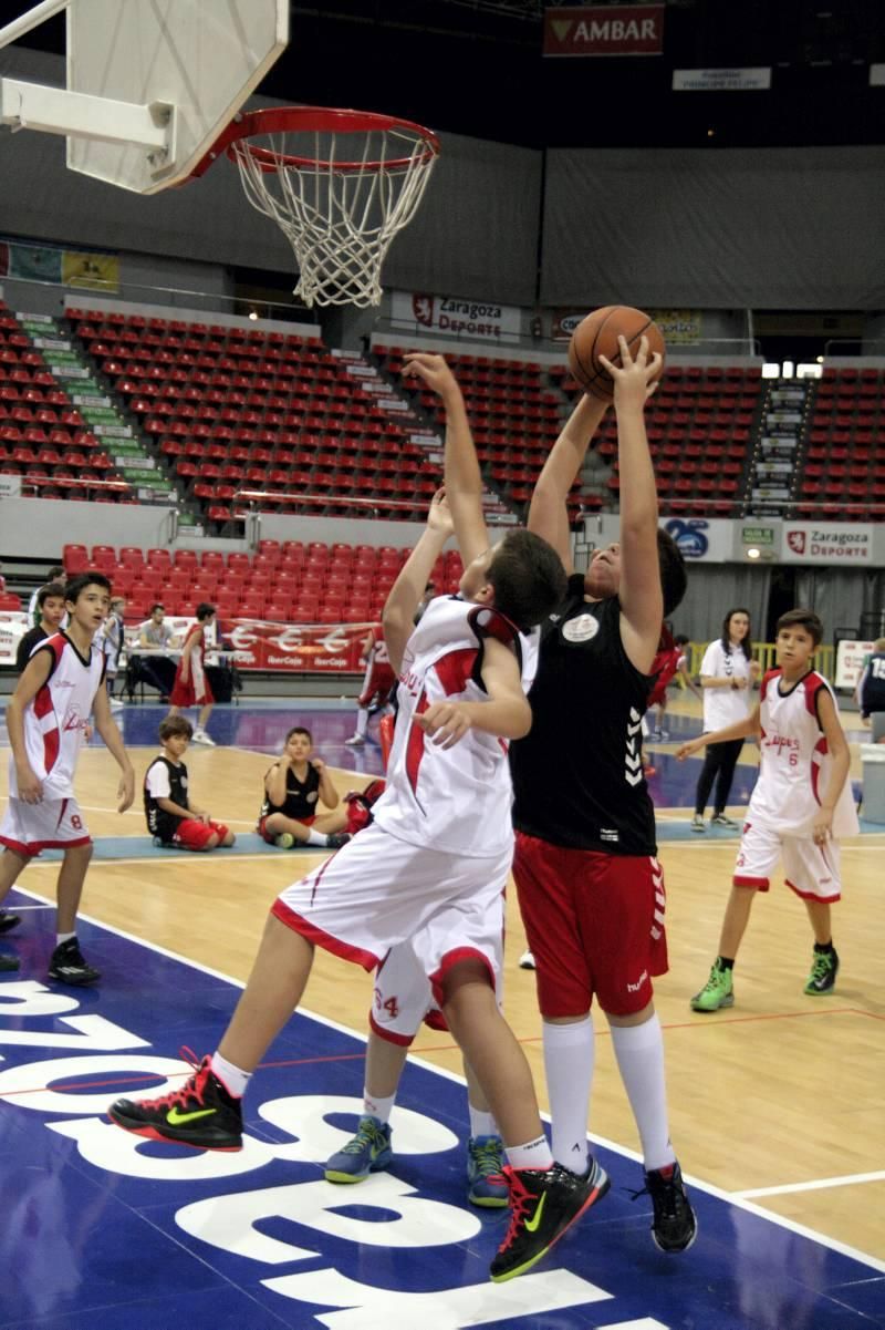 Las mejores imágenes del Día del Minibasket