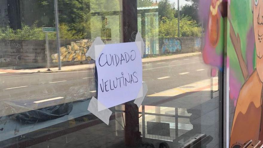 El Centro Juvenil La Estación reparte carteles para alertar de la presencia de velutinas en la zona