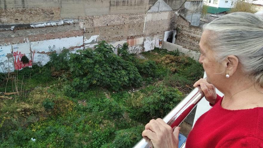 Ana Rodríguez, en la terraza de su bloque municipal, con vistas al gran solar lleno de basura y vegetación, esta semana.