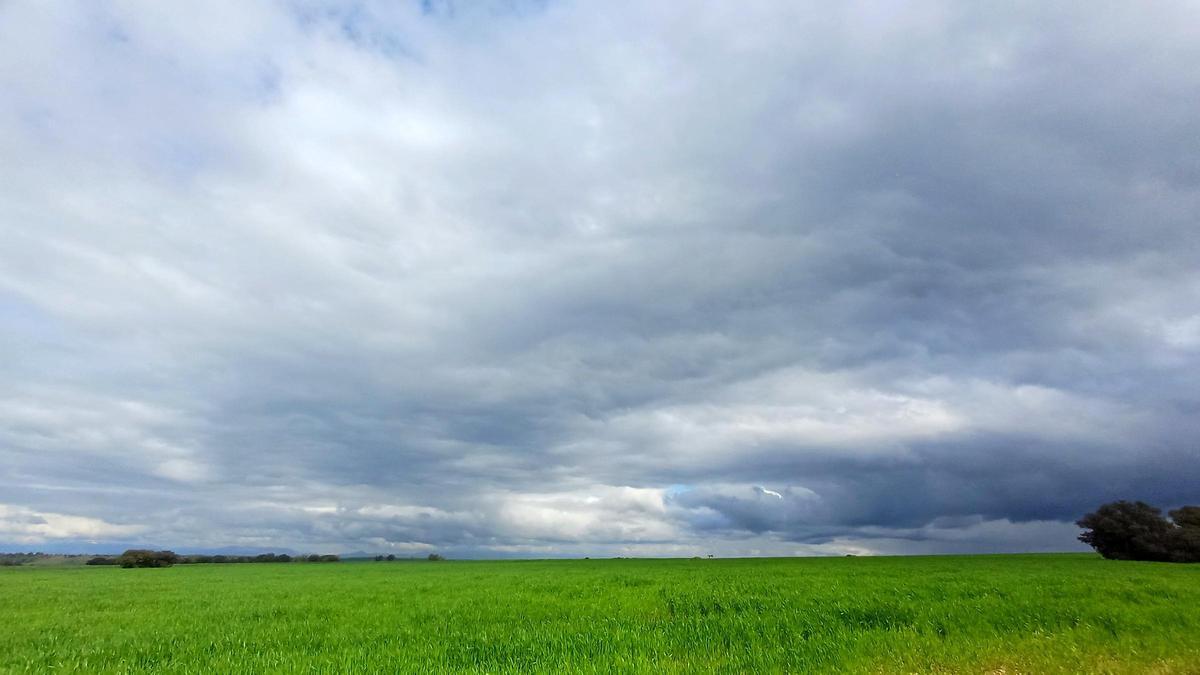 La Segarra La Segarra