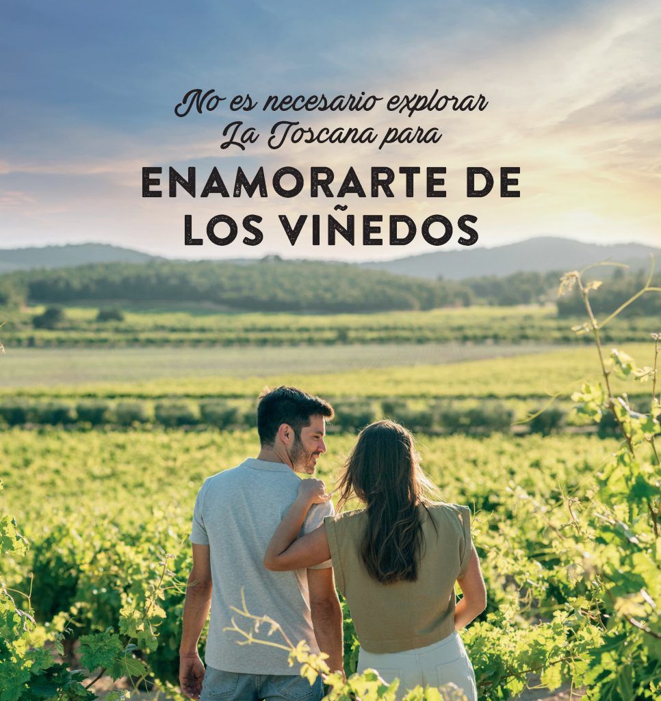 Enamortarte de los viñedos.