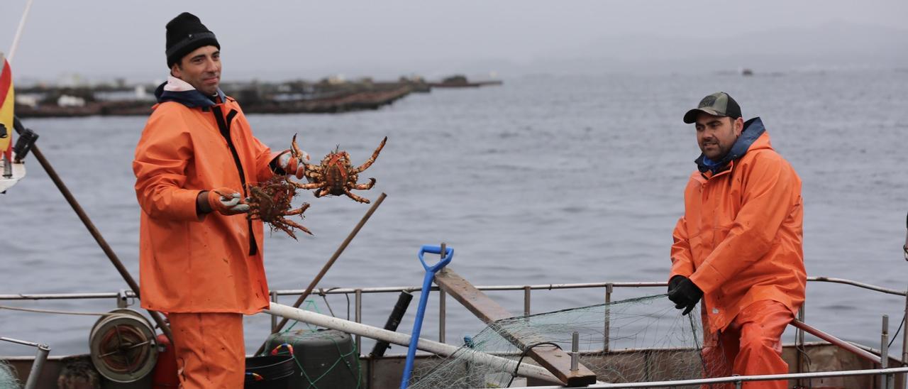 Pesca de centollo en la ría.