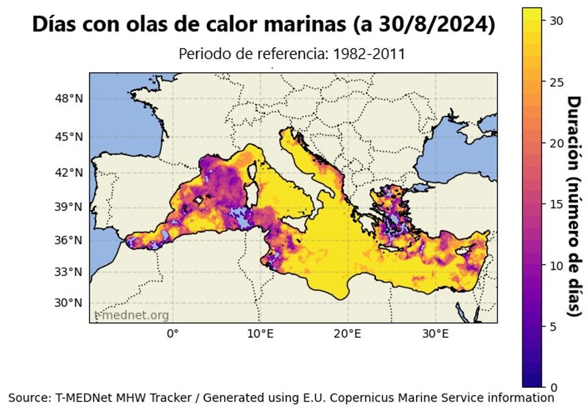 Olas de calor marinas en agosto de 2024