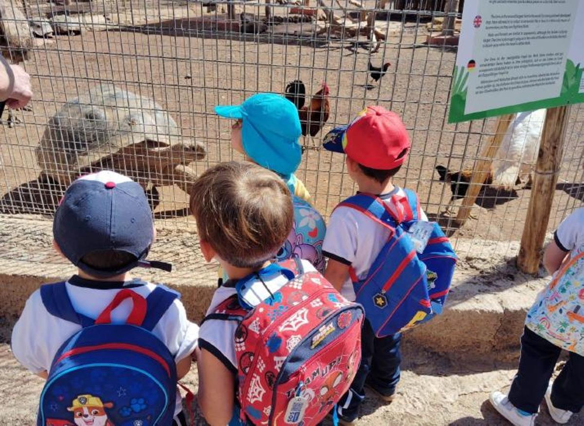 Santa Brígida consolida su acción educativa con 28 proyectos.