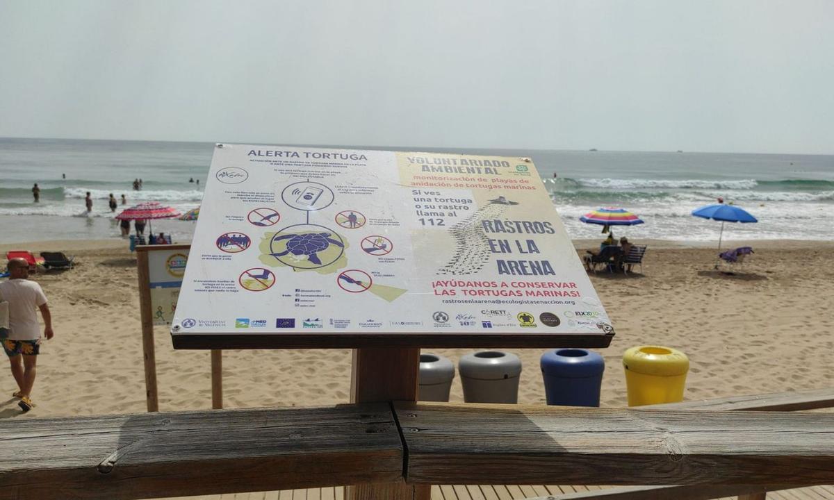 Varios carteles indican en las playas de Elche qué hacer si se detecta una tortuga. | INFORMACIÓN