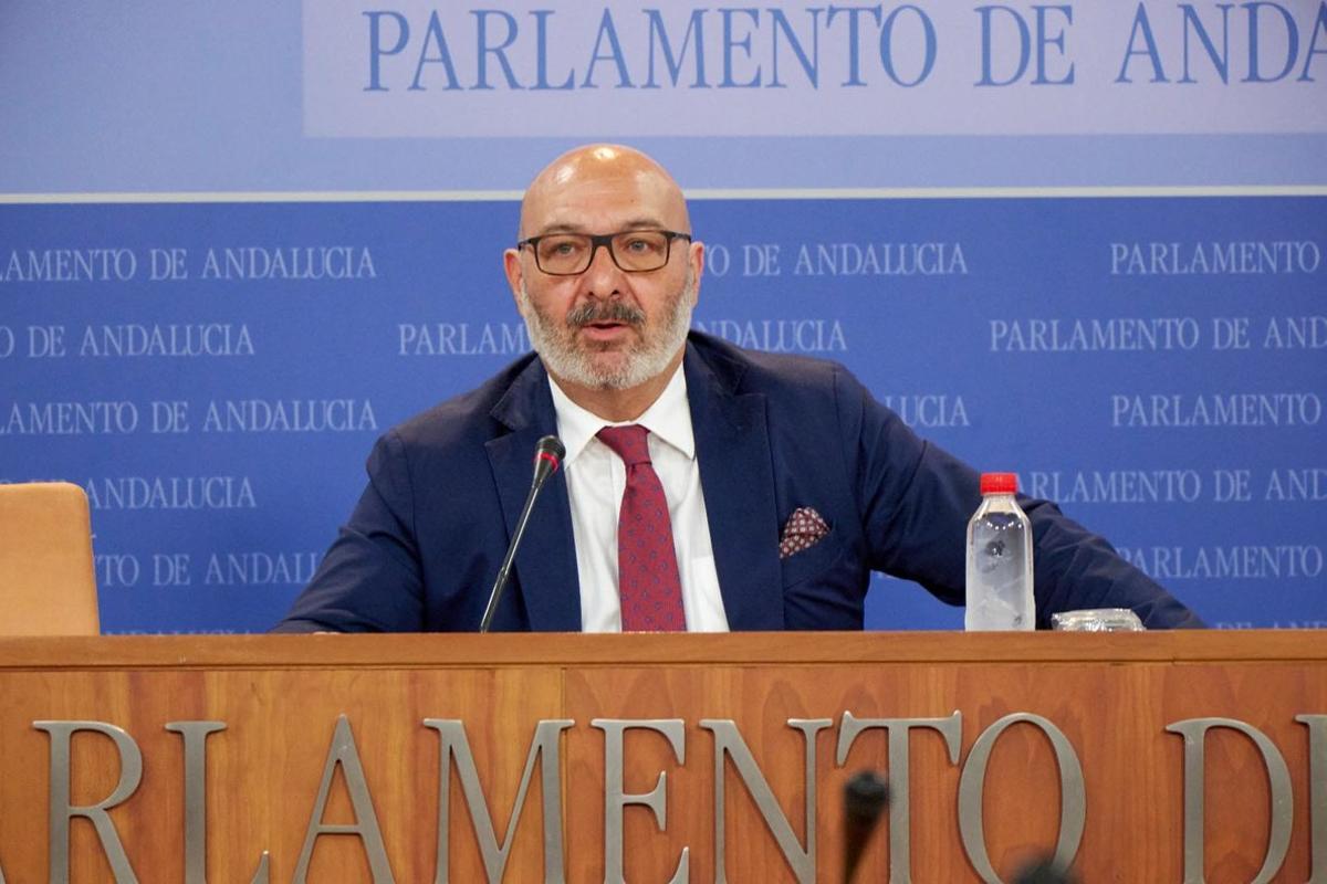 Alejandro Hernández, portavoz en el Parlamento andaluz de Vox Andalucía.