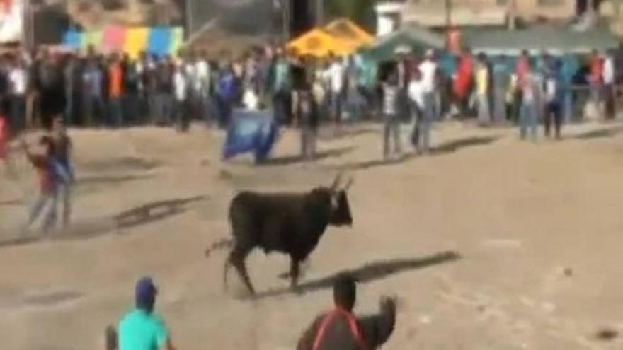 Accidentada corrida de toros en Perú