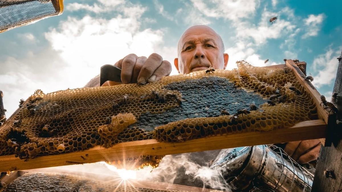 Florencio Gutiérrez con los panales de miel de sus colmenas