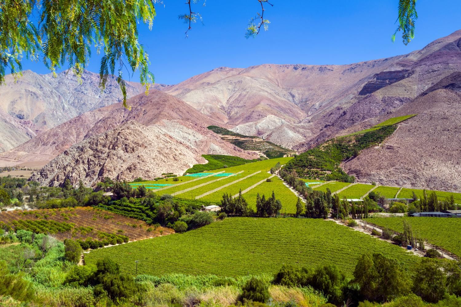 Ruta de las Estrellas, Valle del Elqui
