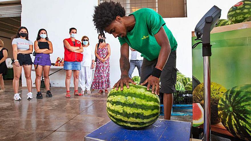 La ‘sandía más grande del mundo’ pesa 20 kilos y es de es Canar  |  