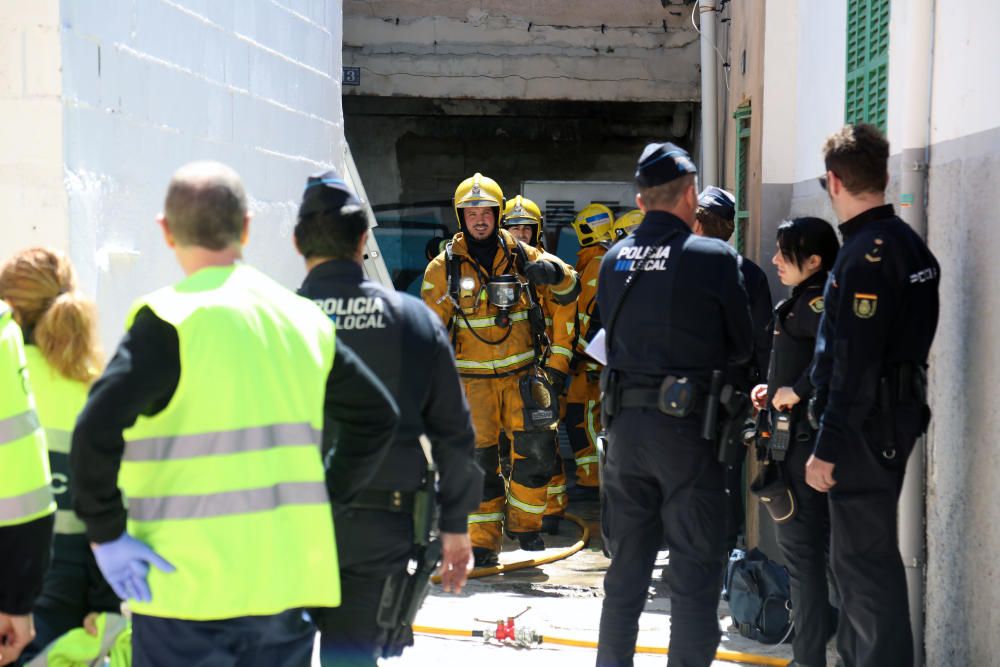 Fallece un perro en un incendio en los molinos del Jonquet