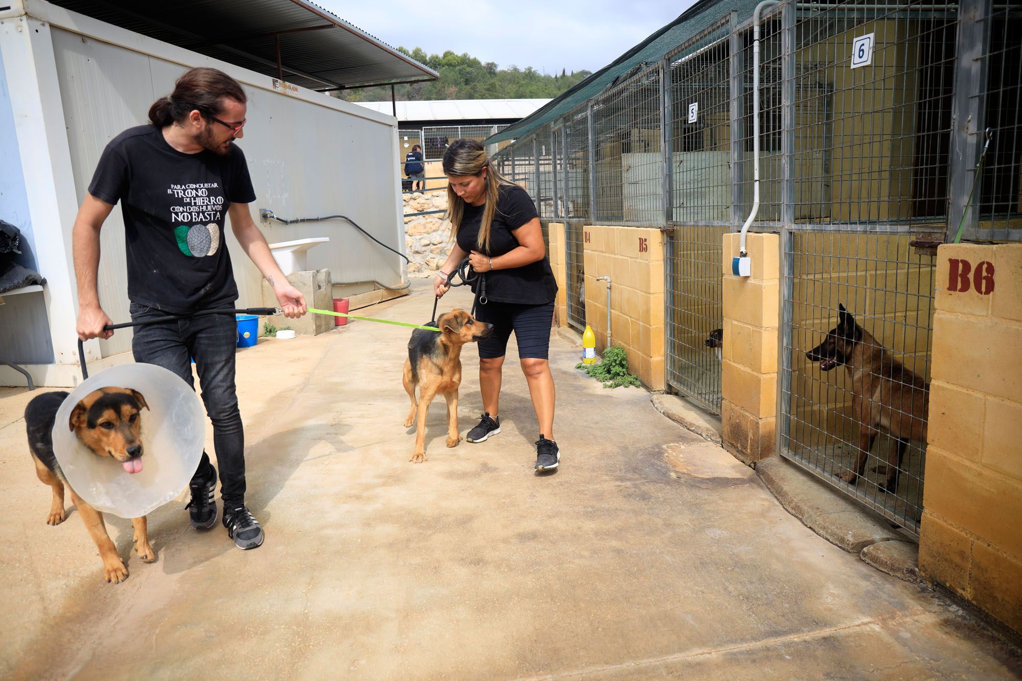 Estado de la Protectora de Animales de Málaga en julio de 2022