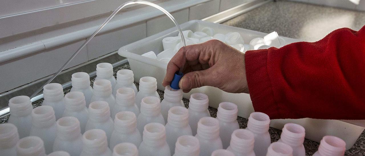 Una de las profesionales del Centro Provincial de Drogas que Cruz Roja tiene en Alicante prepara las dosis de metadona para los 1.579 pacientes que reciben este tratamiento