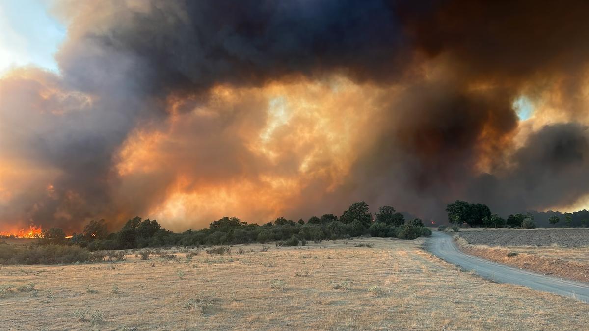 Incendio de la semana pasada en Rábano de Aliste, el más grande del verano