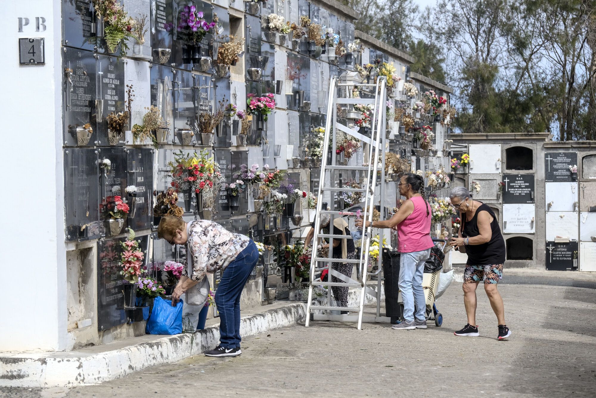 El cementerio de San Lázaro se prepara para el Día de Todos los Santos