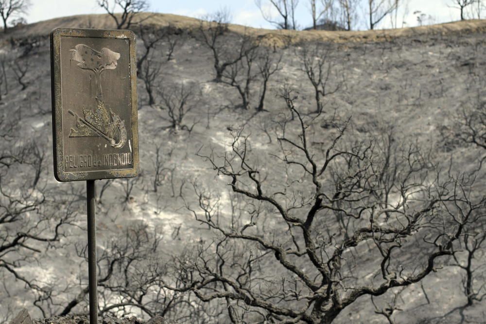 Cinco años desde el gran incendio de la Costa del Sol