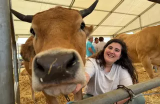 El triunfo de "Sena II" en Manzaneda (Gozón), la vaca que sobrevivó gracias al biberón