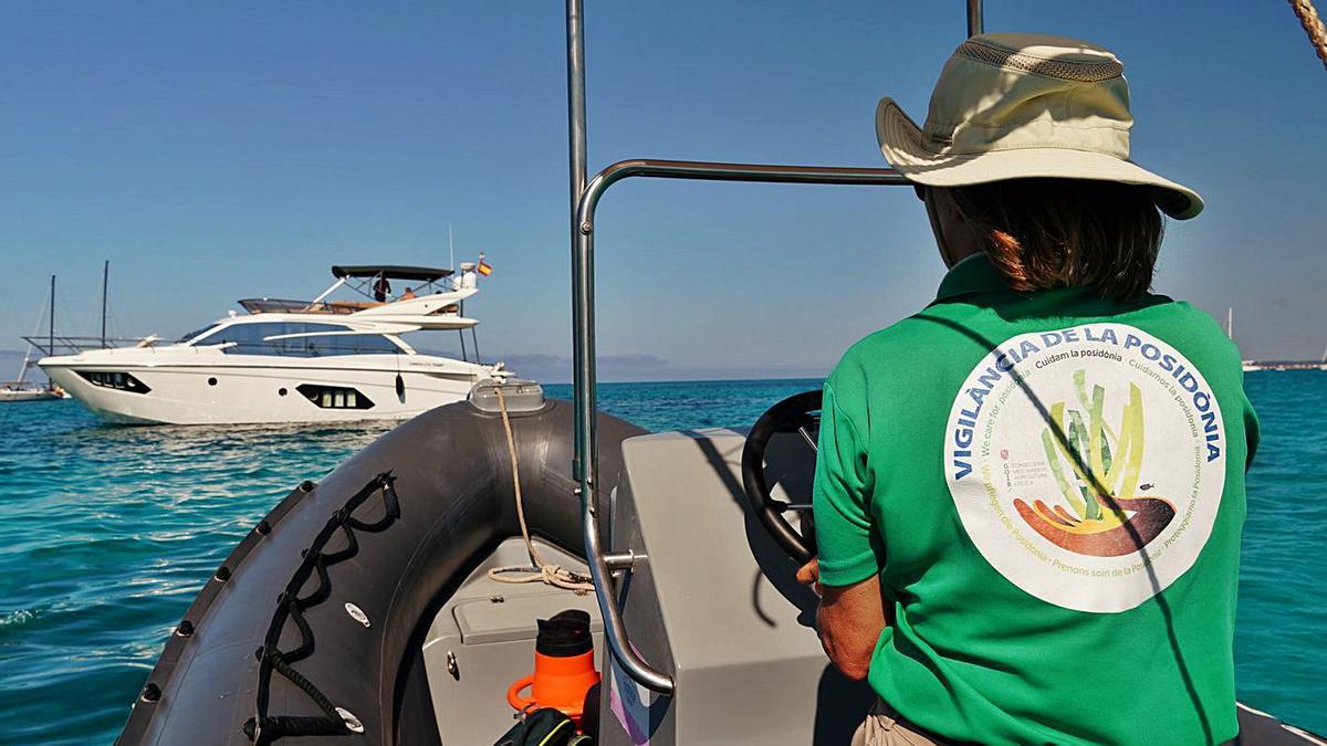 Los controles sobre la posidonia solo obligan a mover un 5% de los barcos | CAIB