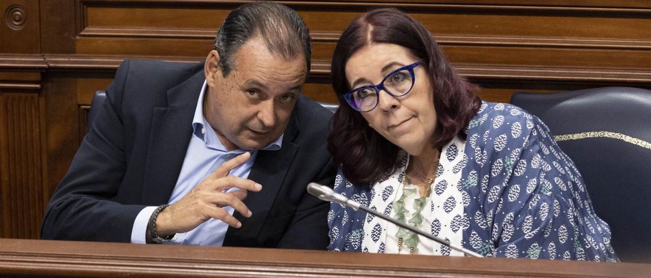 El consejero de Sanidad, Blas Trujillo, y la consejera de Educación, Manuela de Armas, durante el pleno del Parlamento.