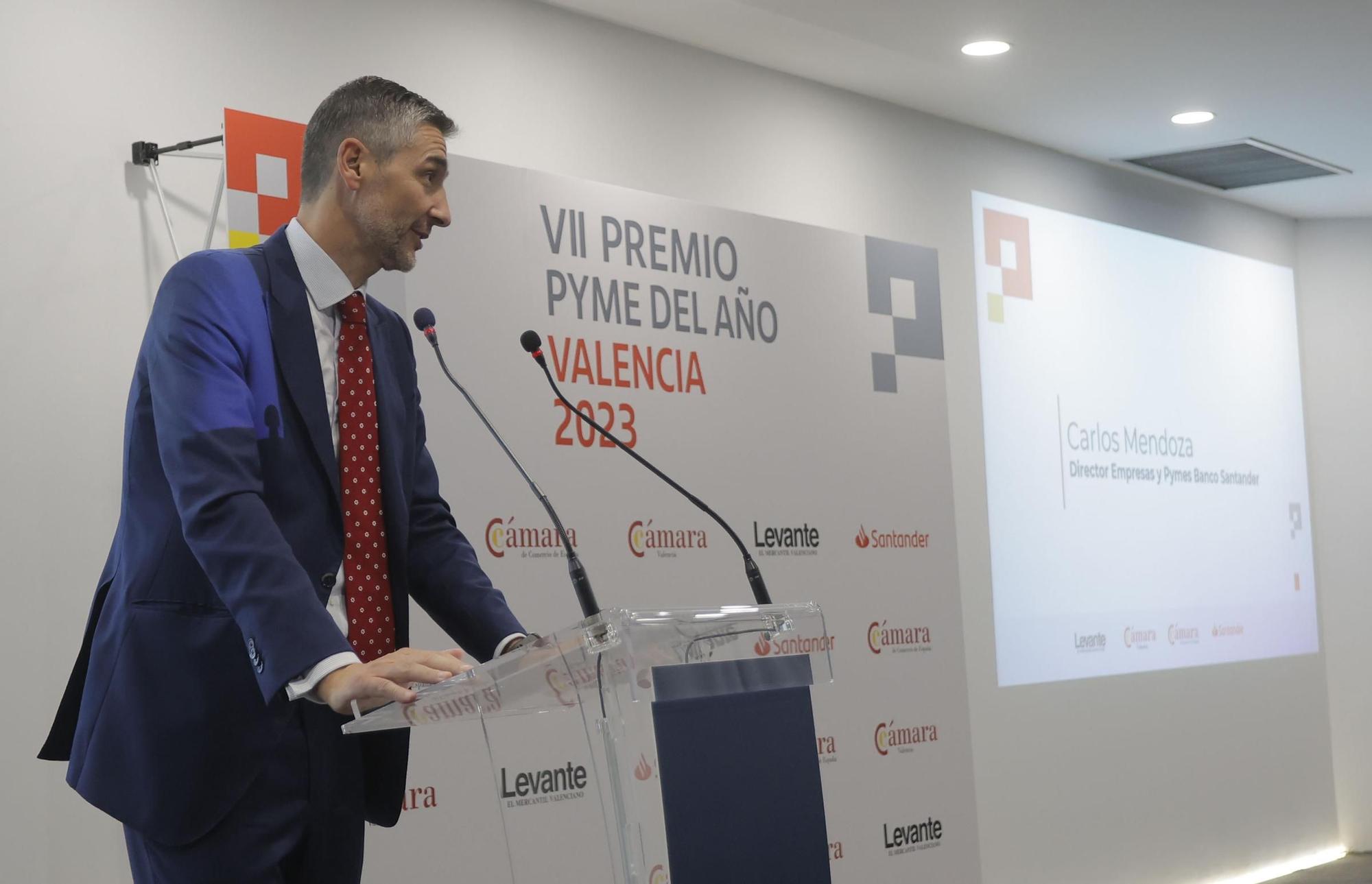 Entrega VII Premio Pyme del año