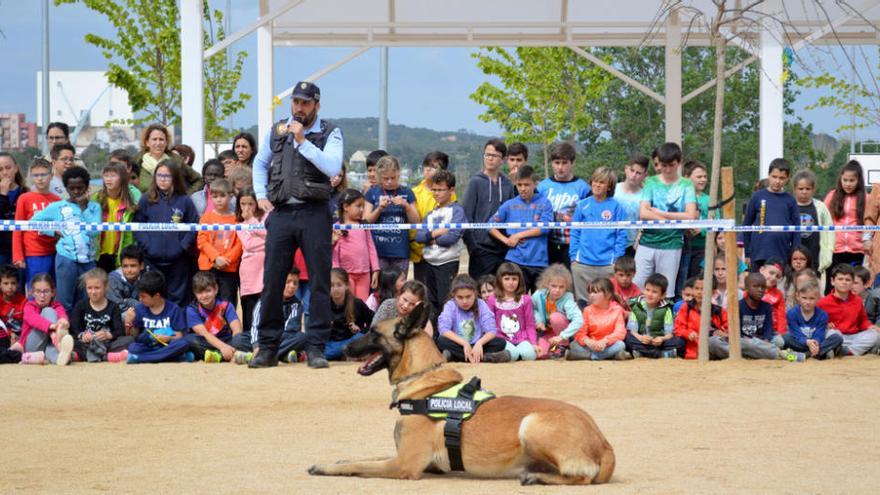 Exhibició de gossos policia a Blanes