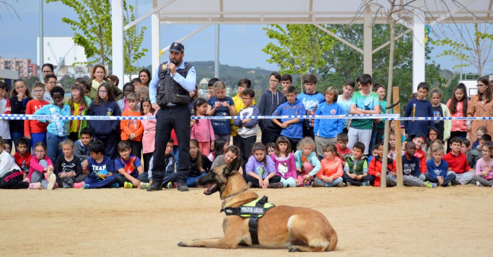 Exhibició de gossos policia