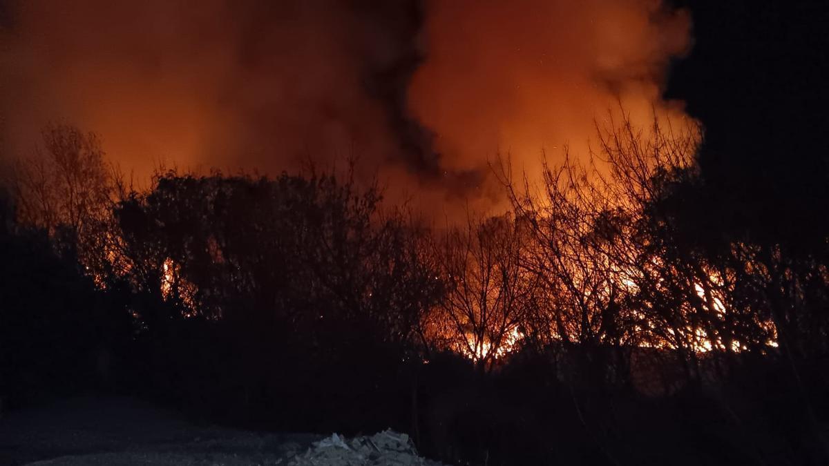 Incendios provocados acechan el cañar del Xúquer en la Ribera