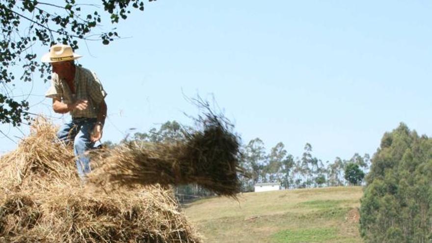 Participantes en una edición pasada de la malla del trigo santirseña.