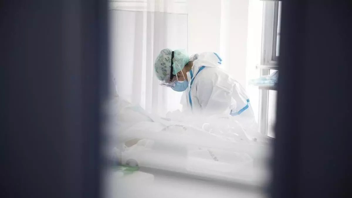 La monografía de la UA “Pandemias. De la peste negra al covid-19”, Premio Nacional de Edición Universitaria en Ciencias de la Salud