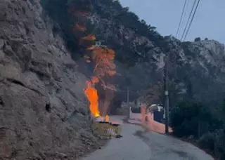 Felsstürze und ein Fast-Waldbrand: In der Cala Llamp liegt einiges im Argen