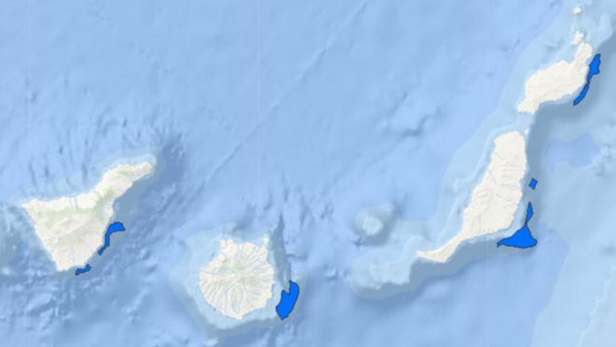 Zonas autorizadas para desarrollar parques eólicos marinos en Canarias.