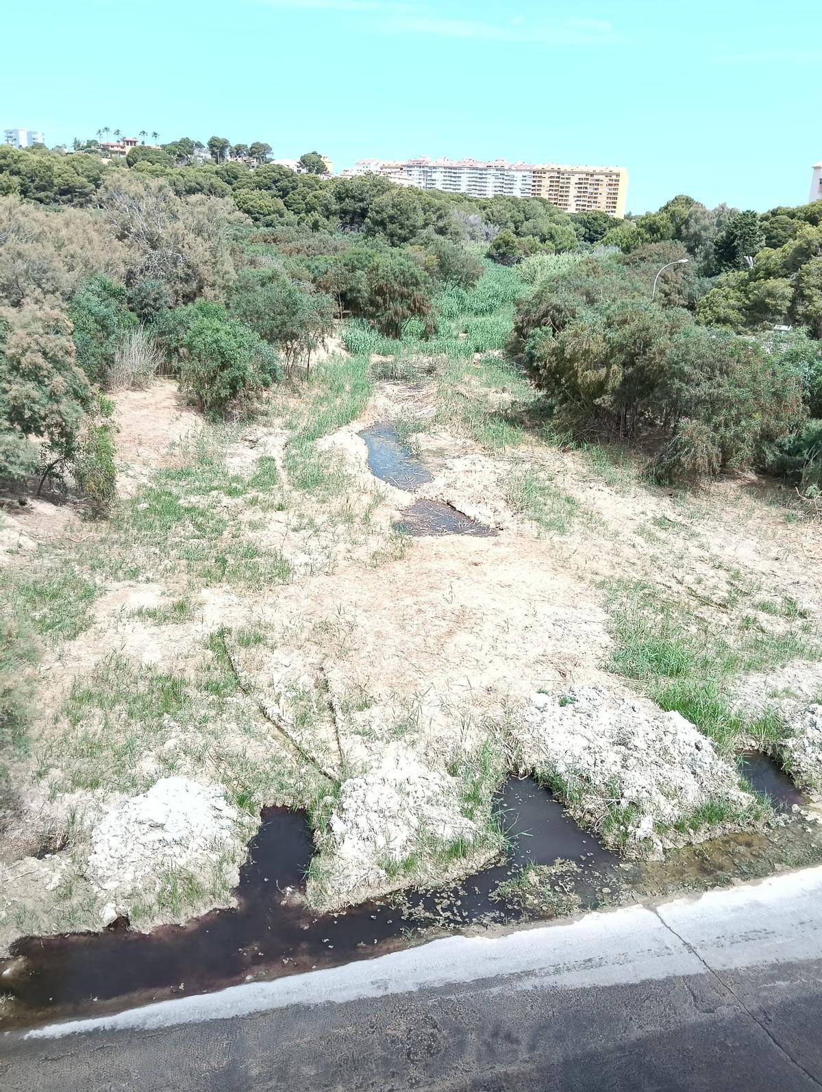 Estado de la rambla en Campoamor