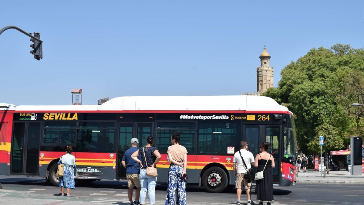 VÍDEO | La llegada del tranvibús al Duque trastoca siete líneas de Tussam