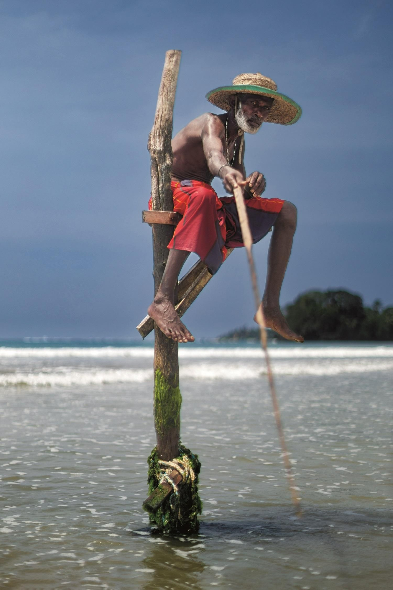 Experto en las artes de la pesca sobre poste en Weligama.